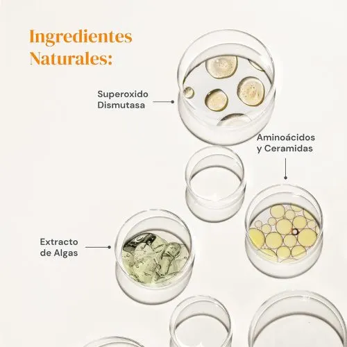 Sodimel Sp Suero Facial Antioxidante 30 G