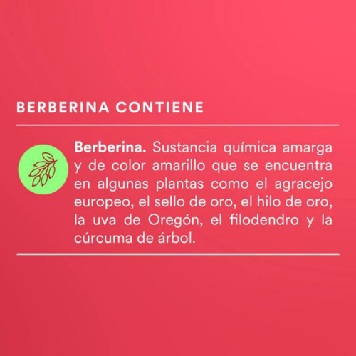 Berberina HCL Con 120 Cápsulas