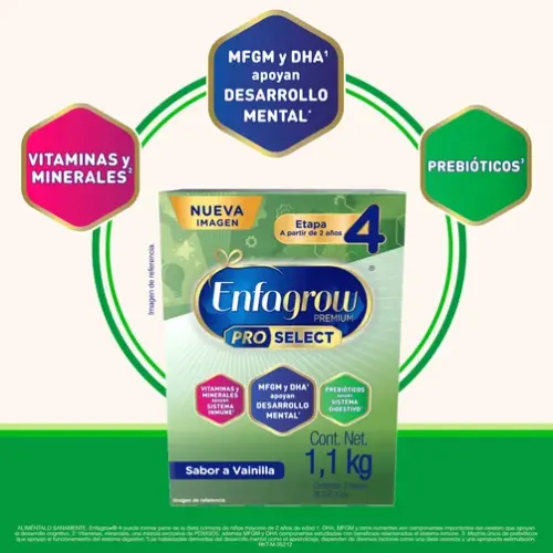 Enfagrow Etapa 4 Fórmula Infantil Apartir De 2 Años 1.1 Kg