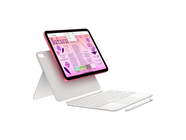 10,9-inch iPad Wi-Fi + Cellular 256GB - Pink-3