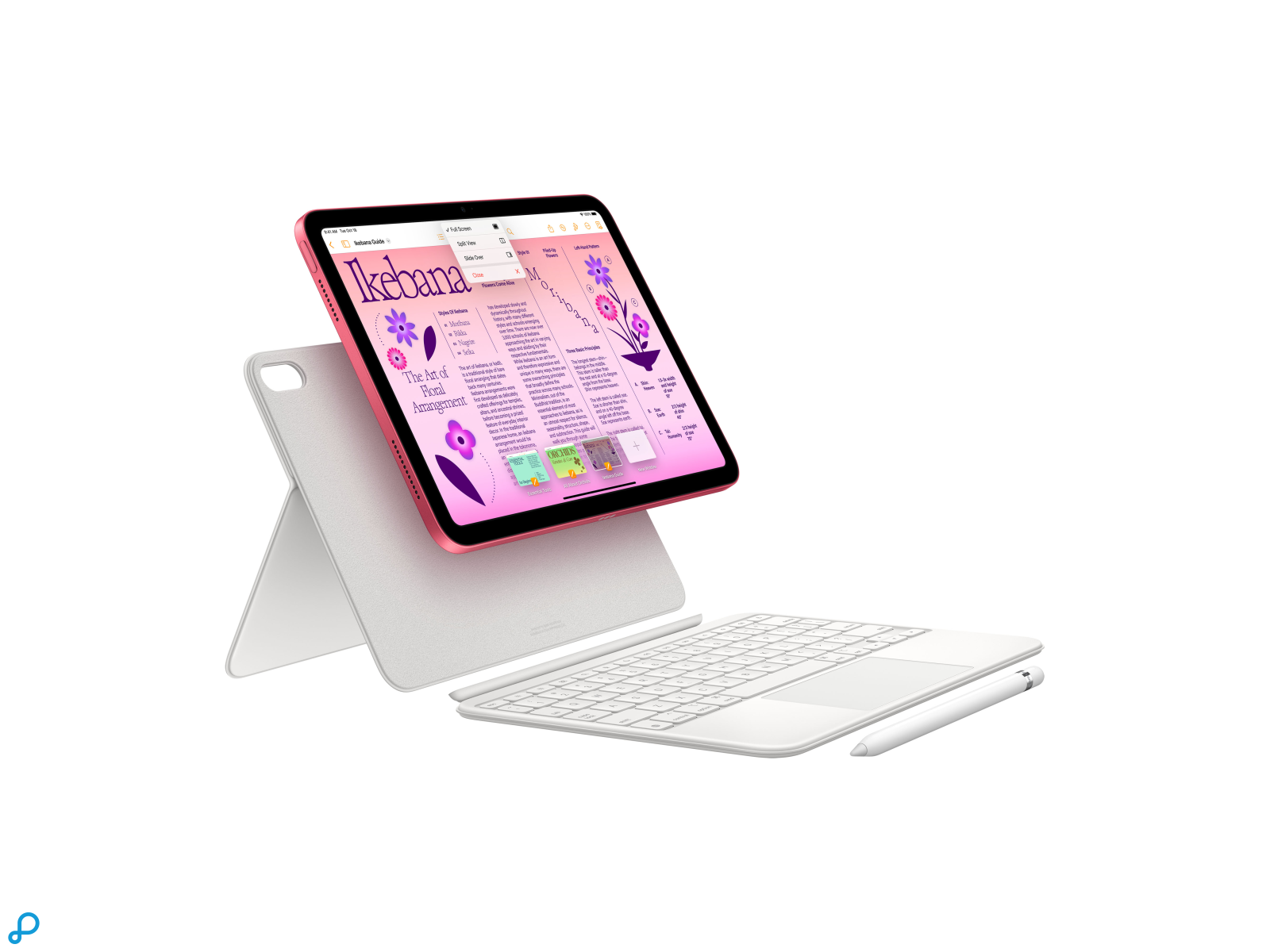 10,9-inch iPad Wi-Fi 64GB - Roze-3