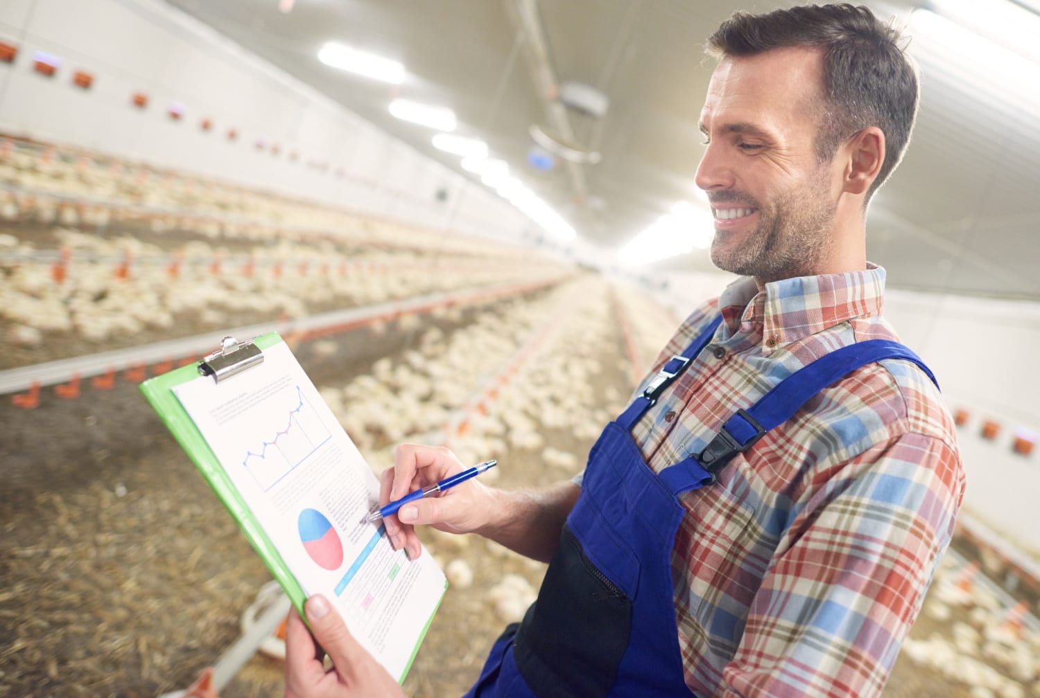 Poultry Farming Business Plan - Amazing a Comprehensive Guide