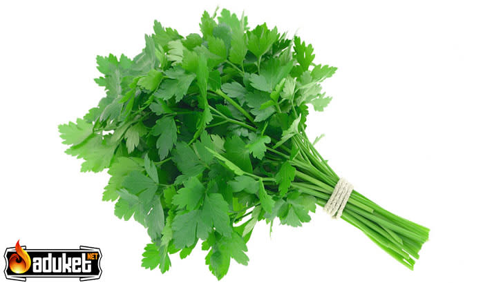 Maydanozun Yararları Faydaları