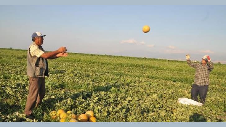 Güldüren Küçük Kazalar