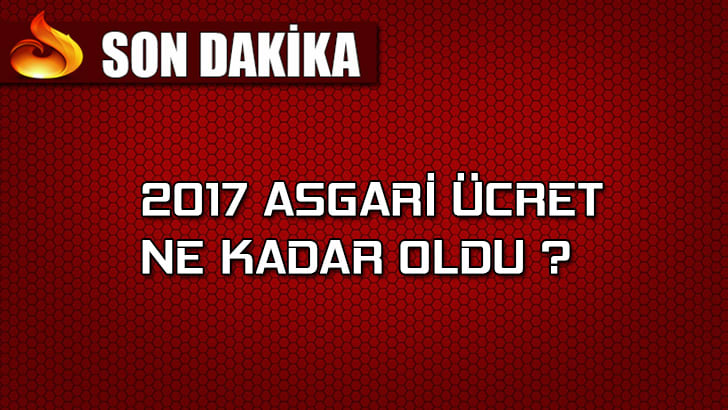 2017 Asgari Ücret Ne Kadar