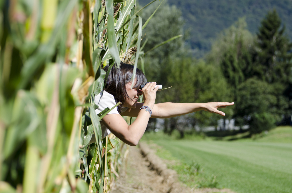 Define Your Farming Goals and Vision
