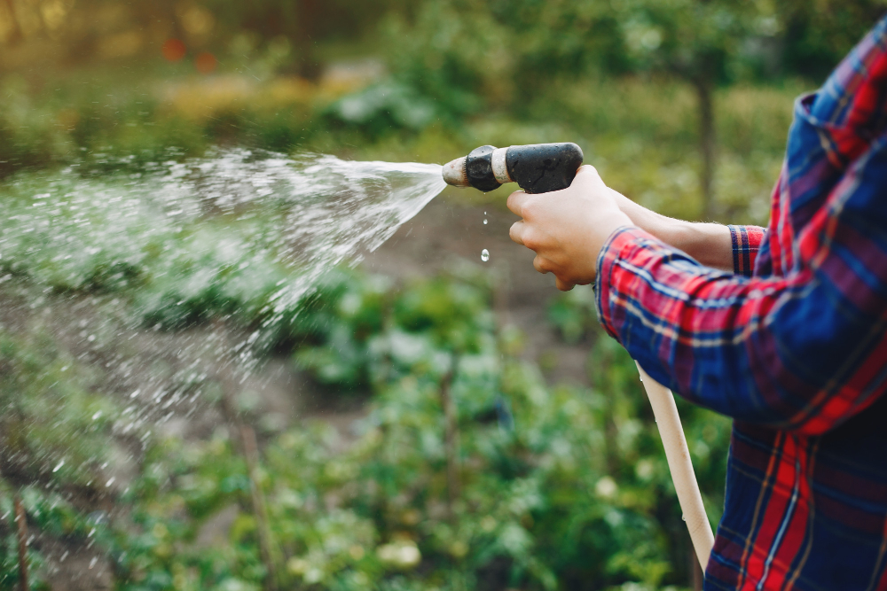 Irrigation Methods for Fruit Orchards