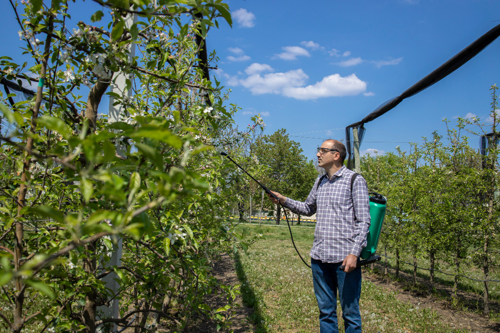 Best Practices for Orchard Irrigation