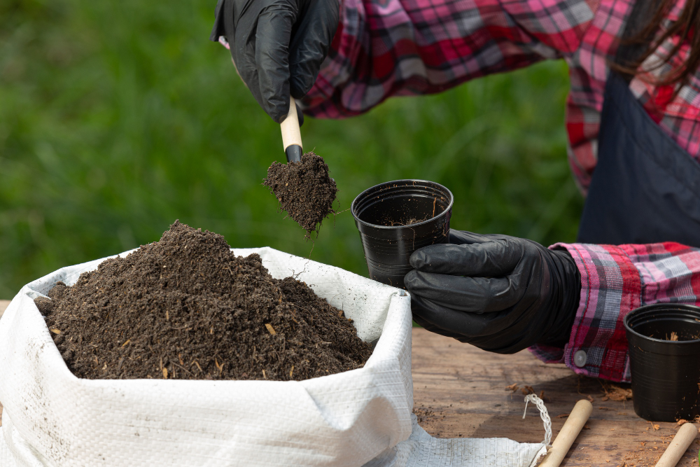 Soil and Fertilizer