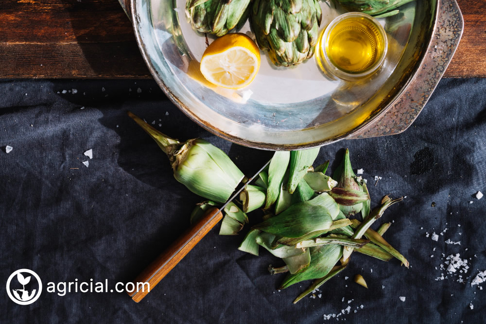 Culinary Tips for Artichokes