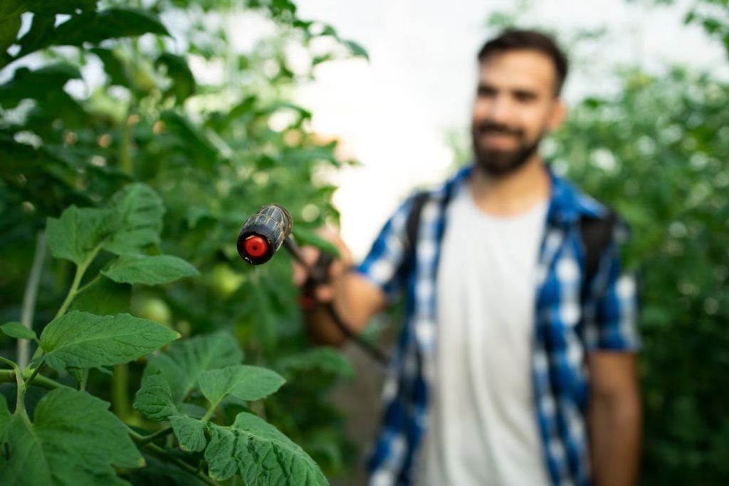Pest and Disease Management