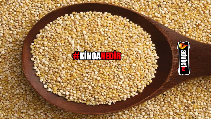 Kinoa Nedir – Kinoanın Yararları