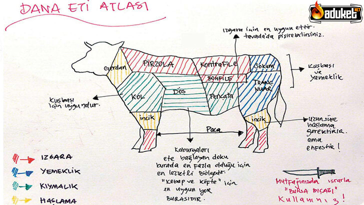 Dana Haritası – Hangi bölgeye ne ad verilir