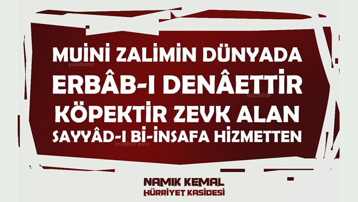 Hürriyet Kasidesi Açıklaması, Türkçesi, Tahlili