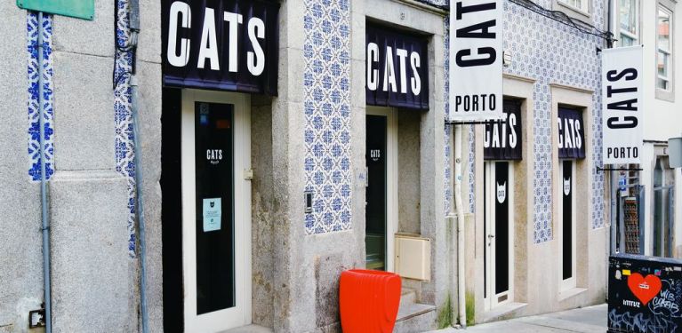 cats porto hostel 
