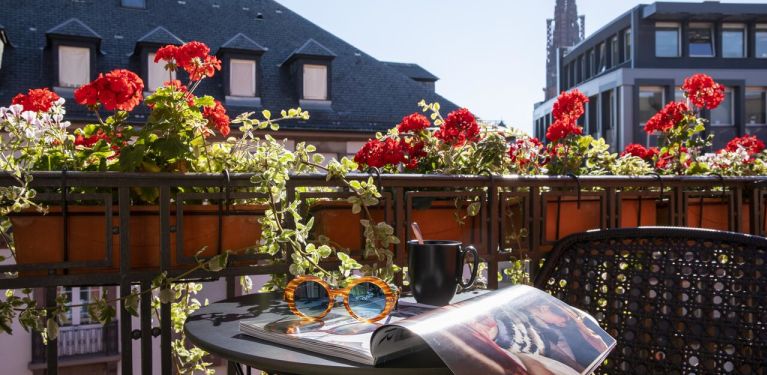 Hôtel maison rouge strasbourg