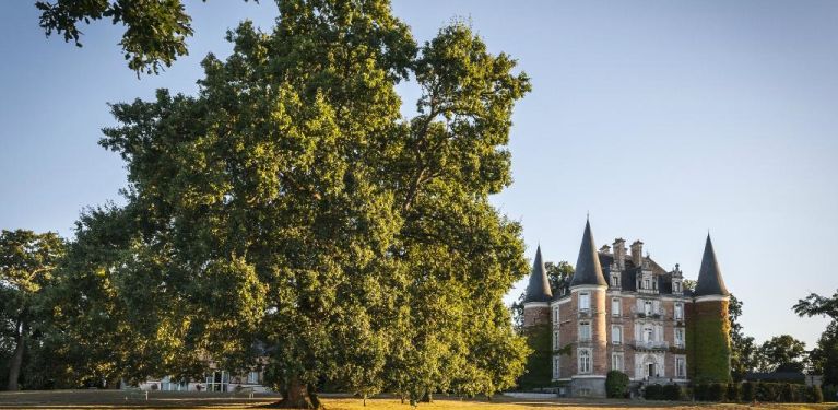 LE CHÂTEAU D’APIGNÉ