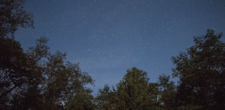 soirée open bar musique fête loup garou plage 