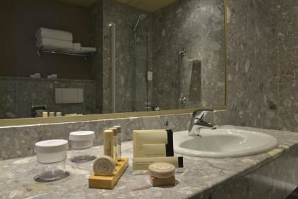 Crowne Plaza Toulouse