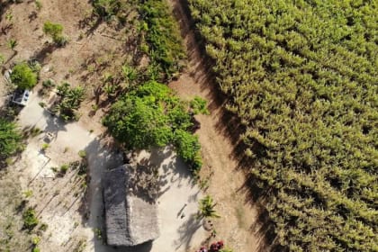 canne a sucre quad republique dominicaine adopteunmec