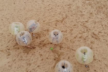 Monitor Deloitte Biarritz plage olympiades bubble foot