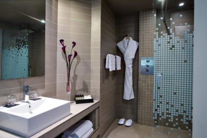 Pullman Toulouse Centre Ramblas