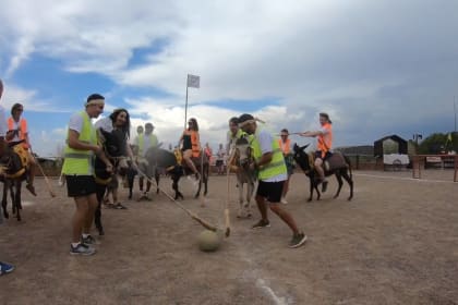 olympiades evs marrakech 