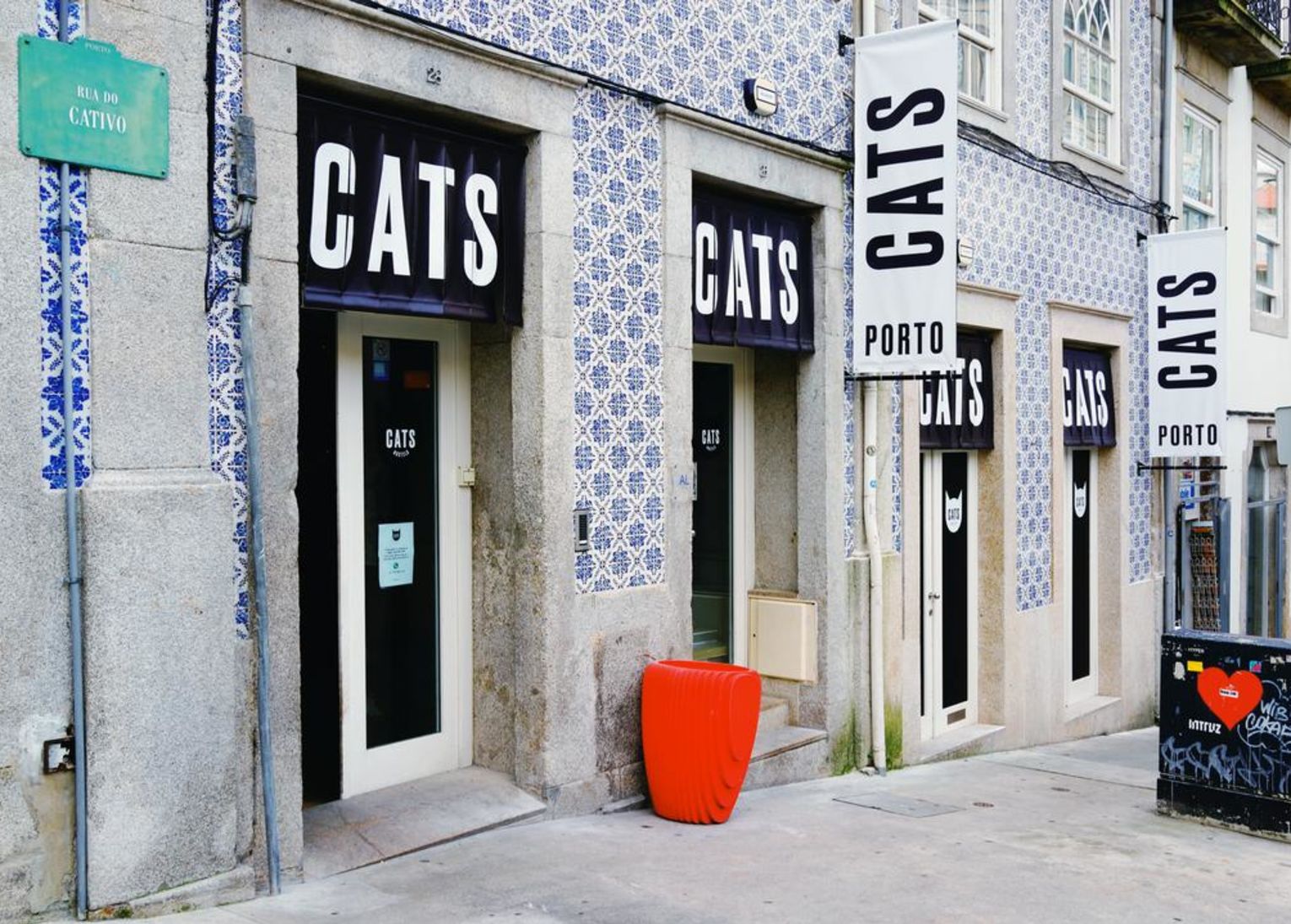 cats porto hostel 