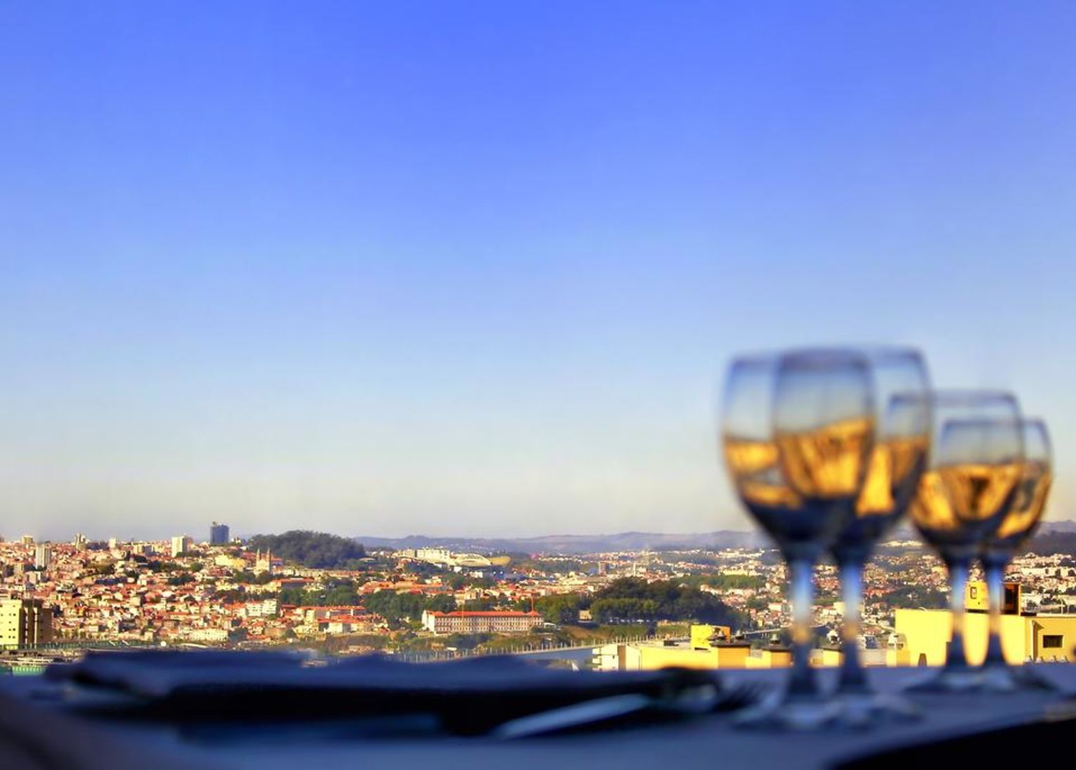 black tulipe hotel porto