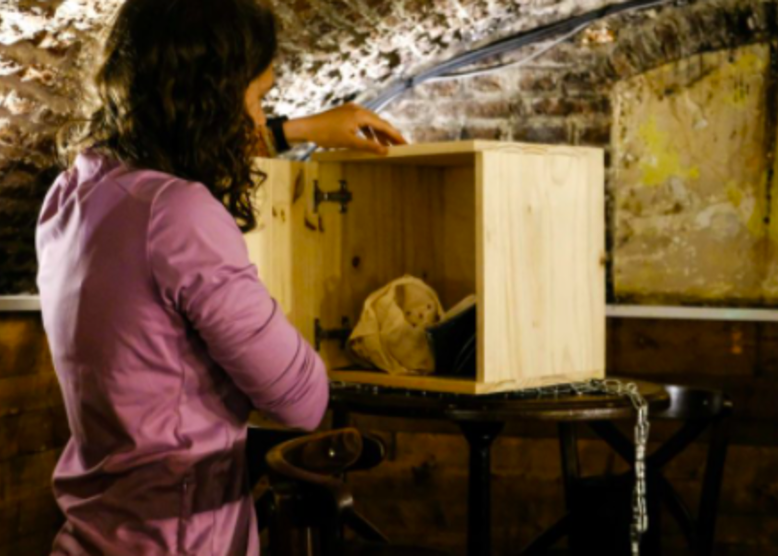 escape game brassicole