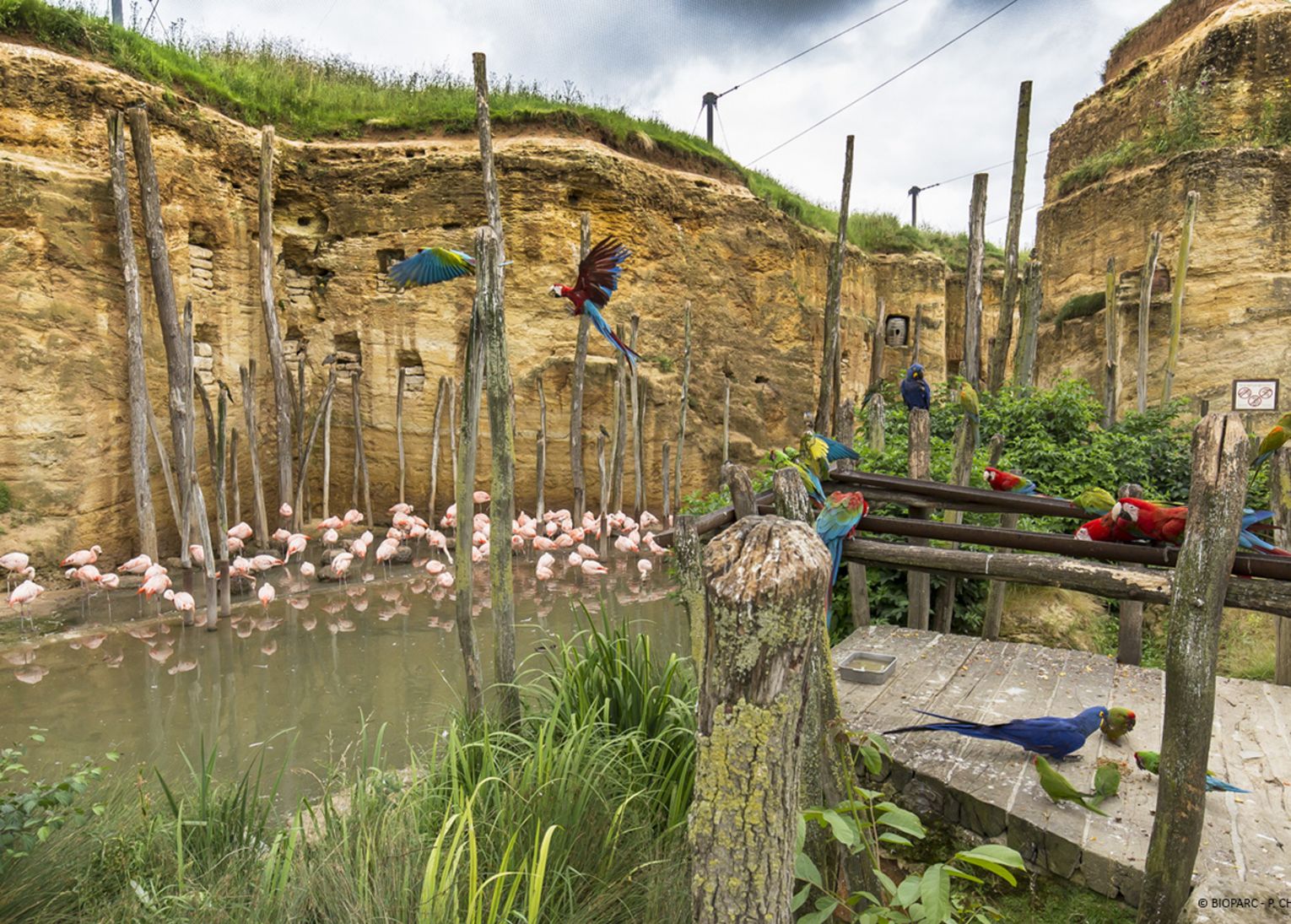 bio parc