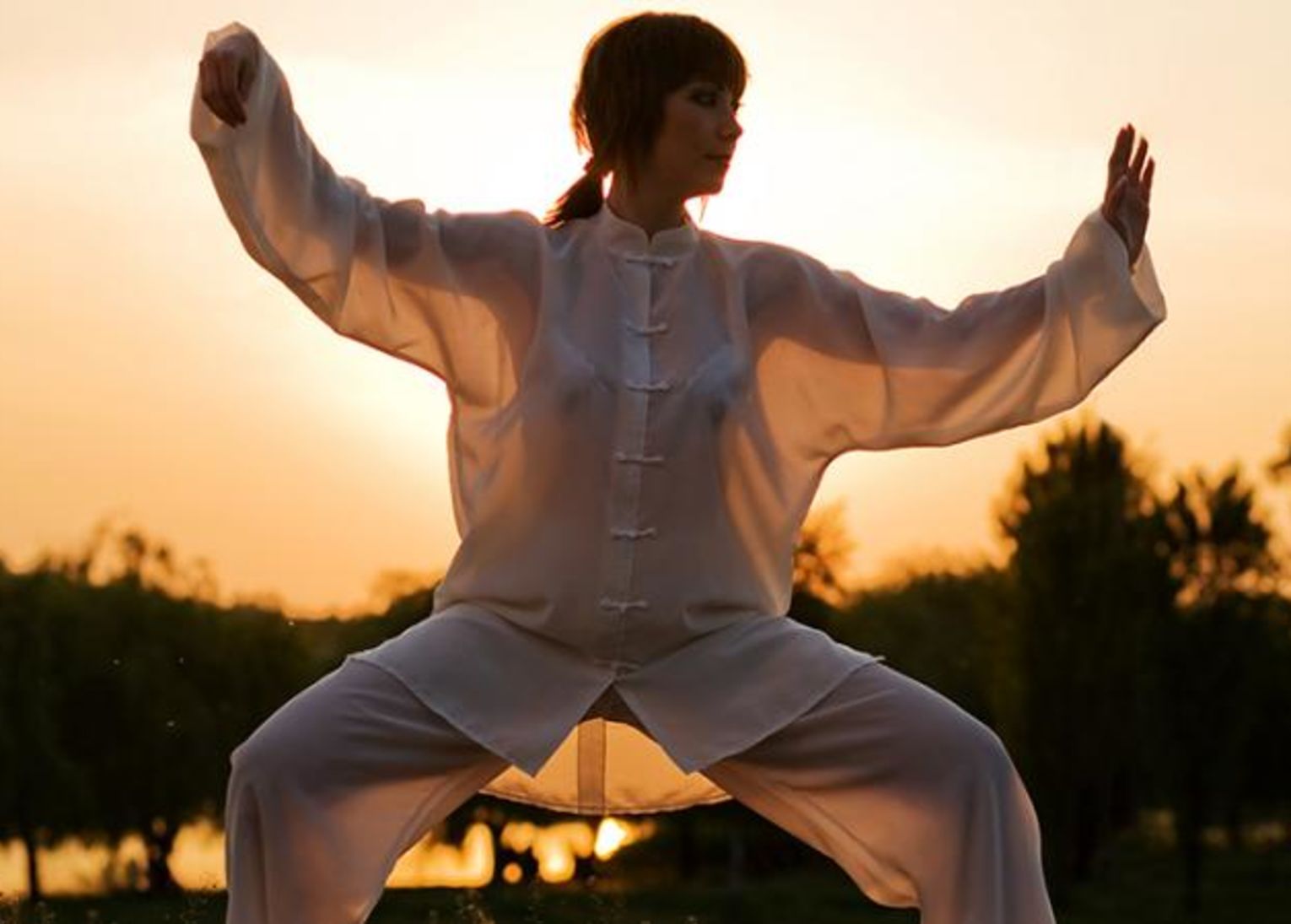tai chi chuan