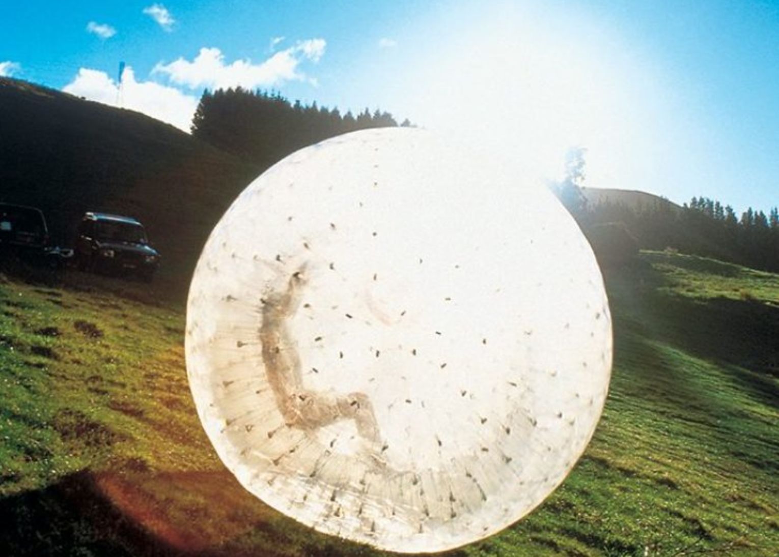 zorbing