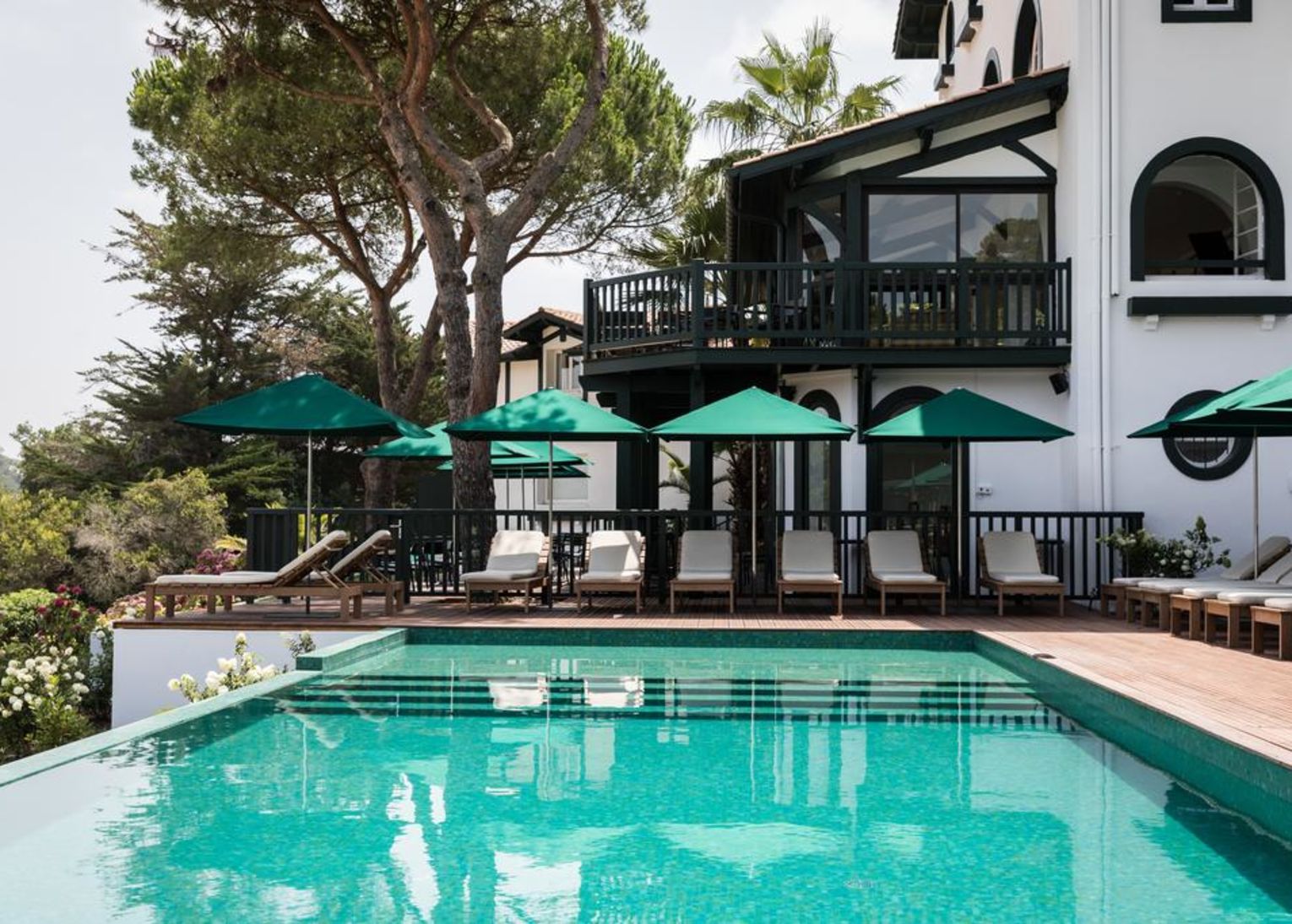 Les Hortensias du Lac