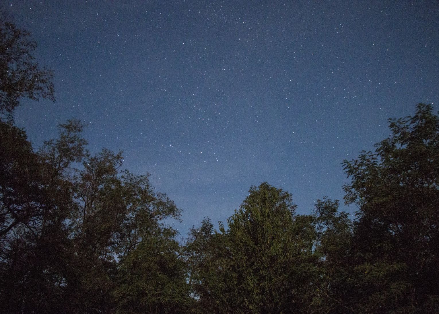 soirée open bar musique fête loup garou plage 