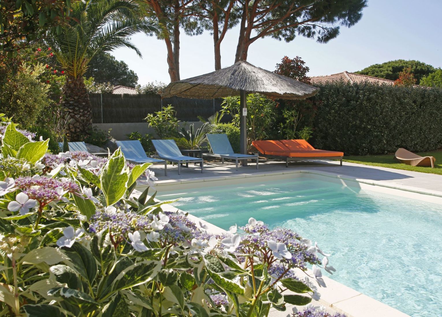 villa mandarines calvi 