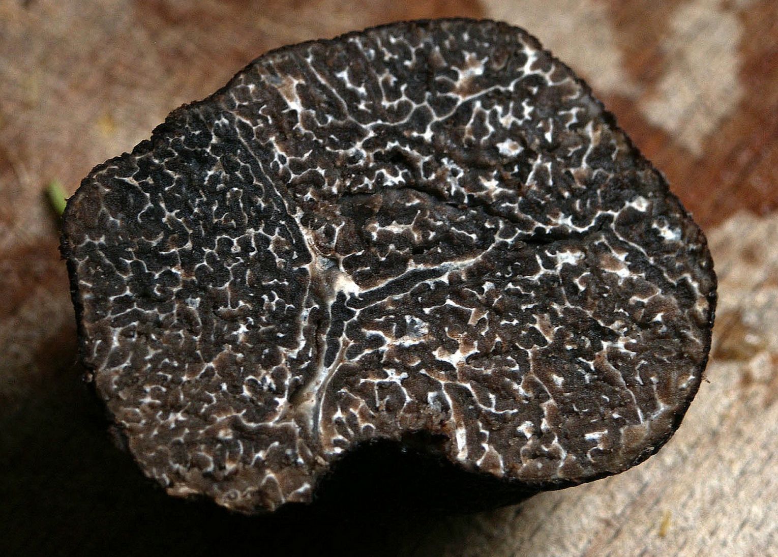 truffe noire croatie dégustation