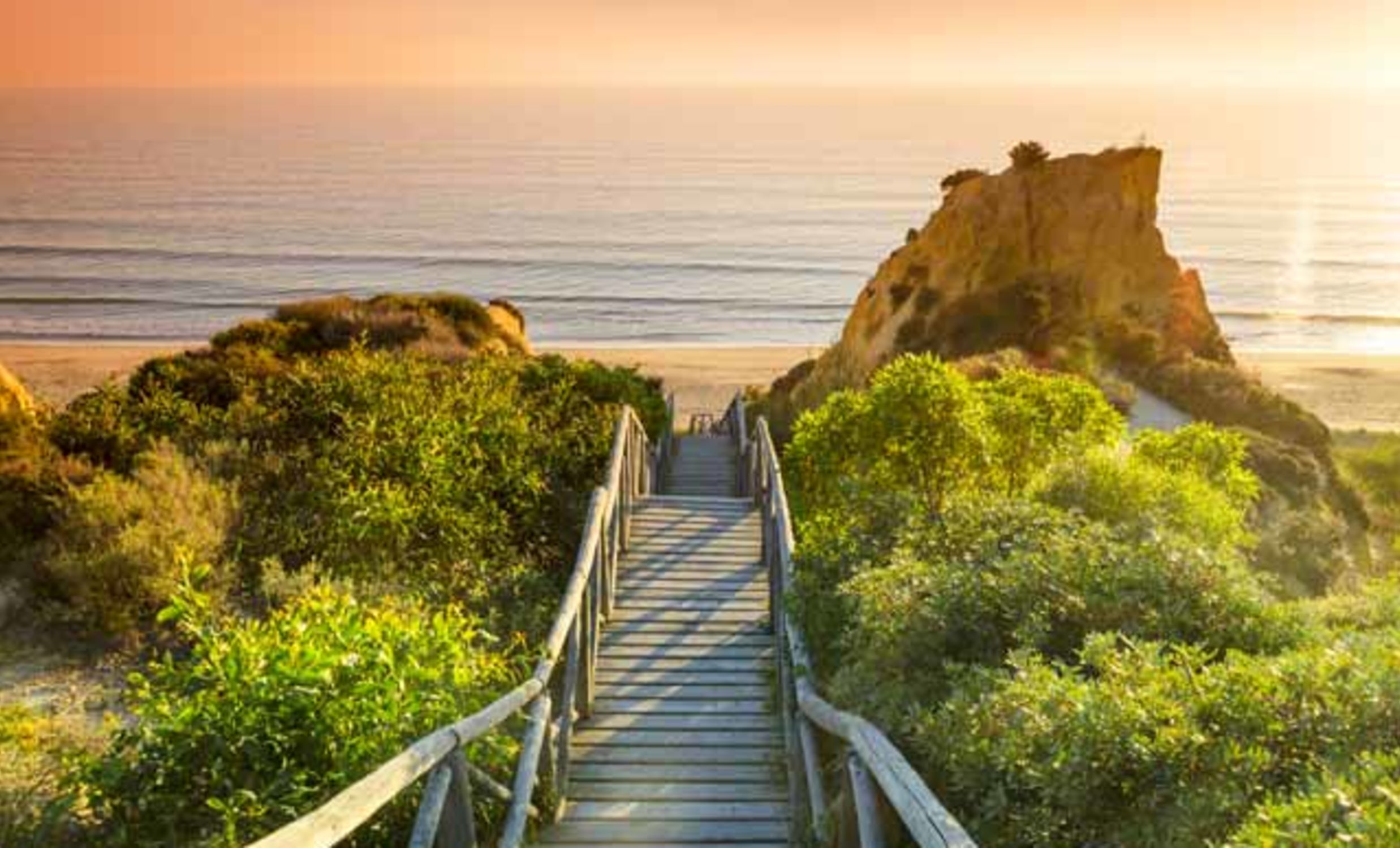 Séminaire à Séville Visite guidée en