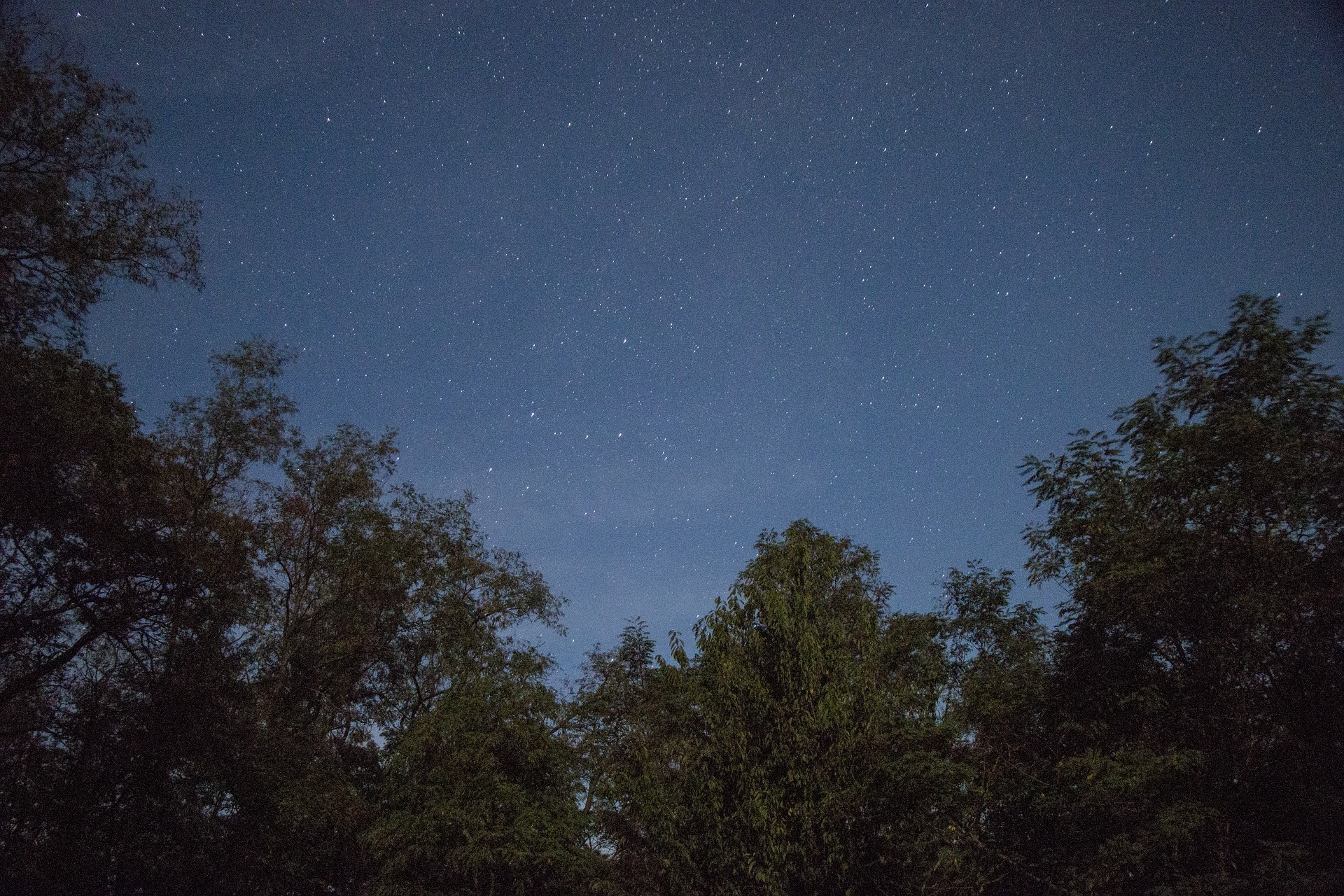 soirée open bar musique fête loup garou plage 
