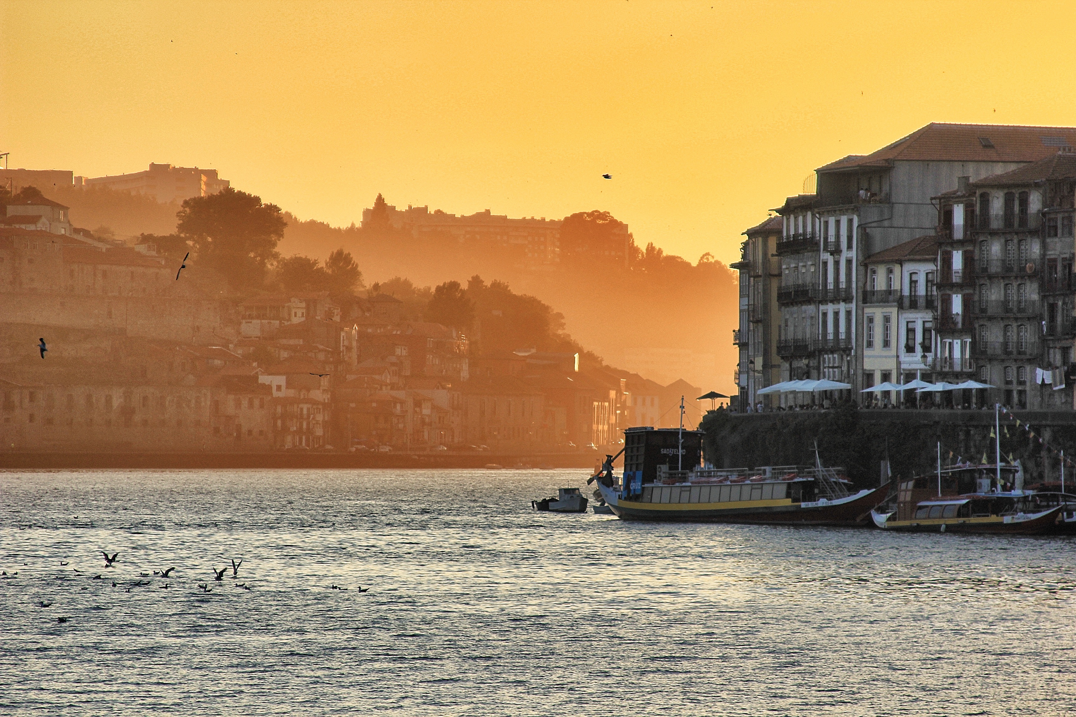 porto wine croisiere douro