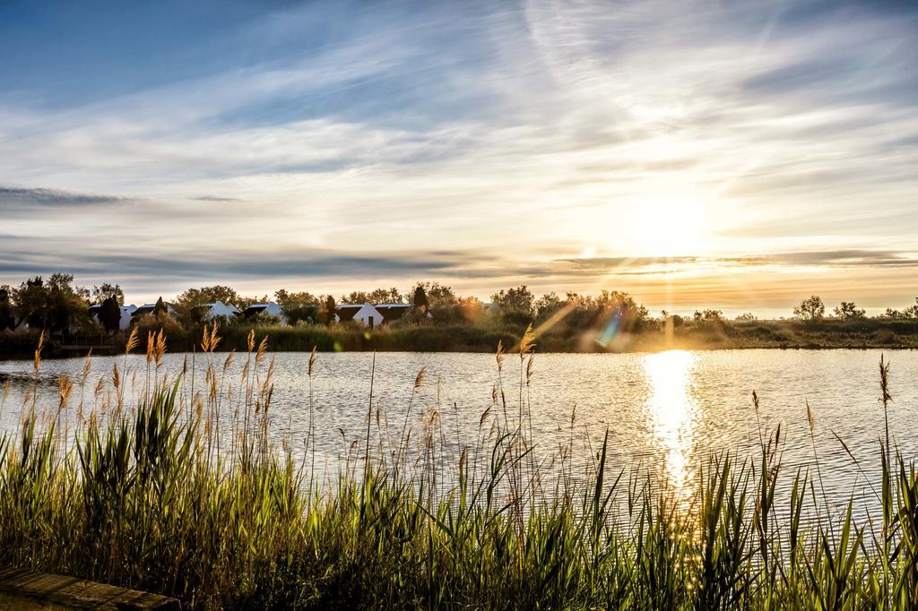 auberge cavaliere camargue
