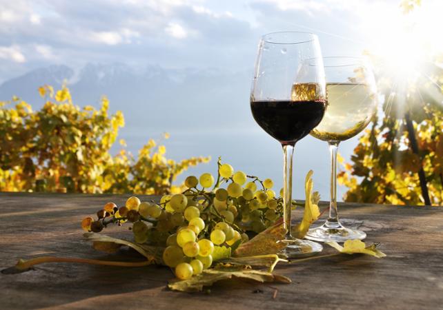 Dégustation de vins