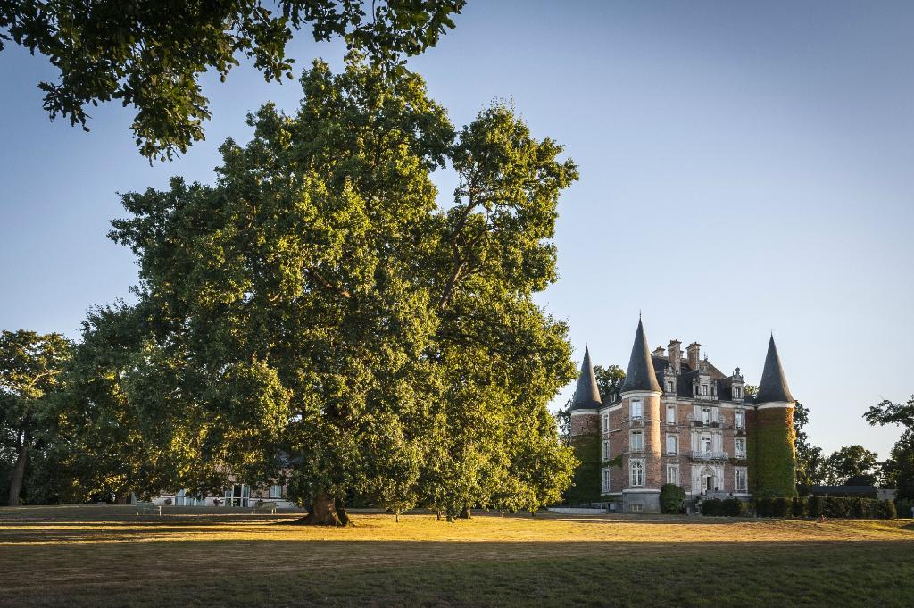 LE CHÂTEAU D’APIGNÉ