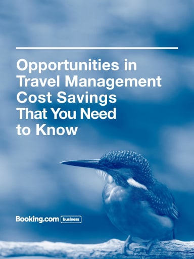 Travel Management Cost Savings: 4 Ways to Optimize Your Travel Program to Save Costs