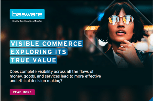 Infographic - Visible Commerce: Exploring its True Value