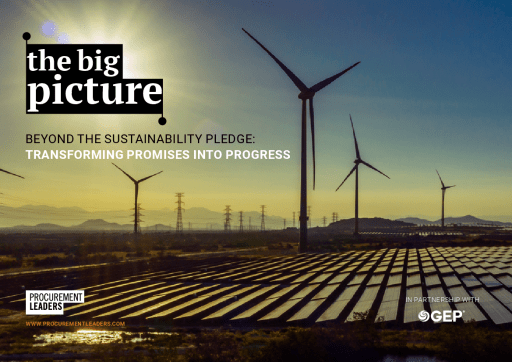 The Big Picture: Beyond the sustainability pledge – transforming promises into progress