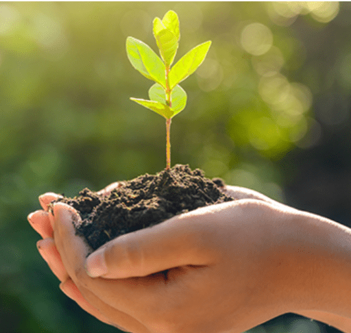 Enhancing Supply chain conduct with sustainable practices