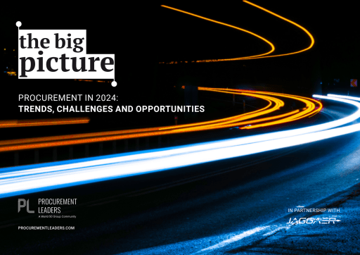The Big Picture: Procurement in 2024: Trends, Challenges and Opportunities