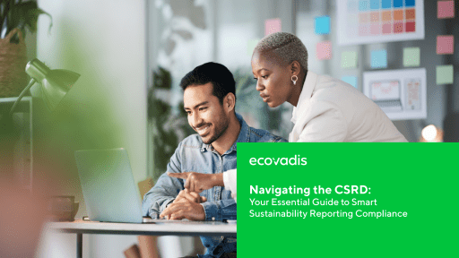 Navigating the CSRD: Your Essential Guide to Smart Sustainability Compliance