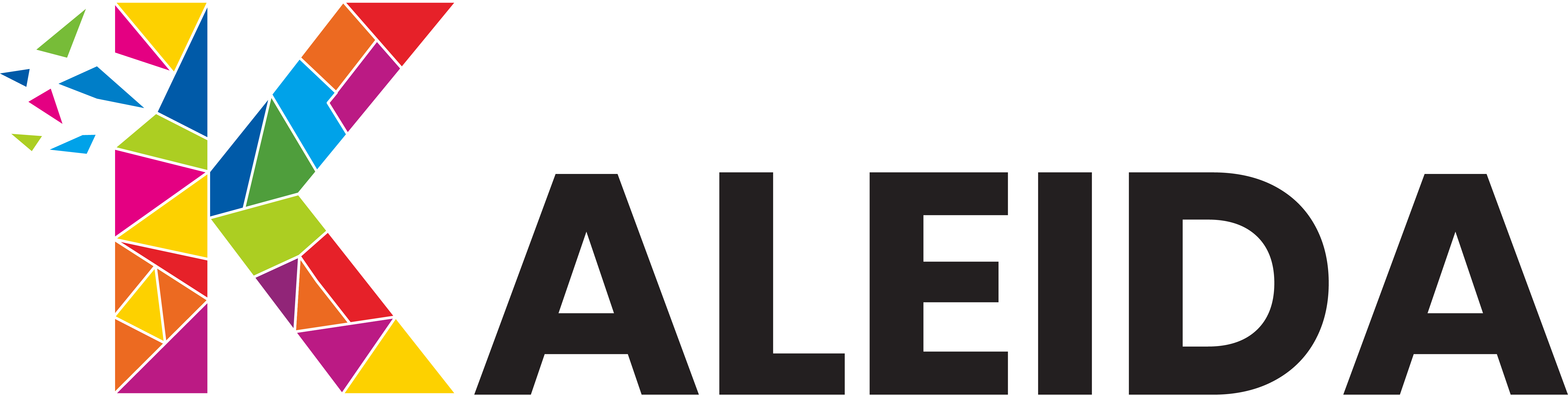 Kaleida Marketplace Procurement Leaders